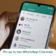 WhatsApp pin two channels