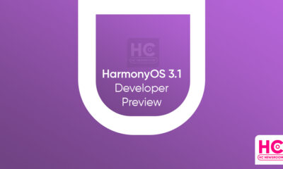 harmonyos 3.1 developer preview