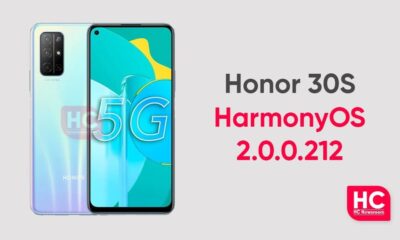 Honor 30S November 2021 security