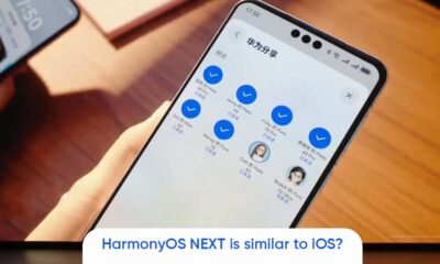 HarmonyOS NEXT closed system