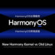 Huawei Harmony kernel Linux