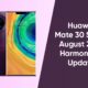 Huawei Mate 30 August 2022