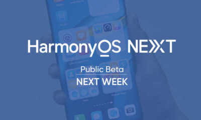 HarmonyOS NEXT public beta week